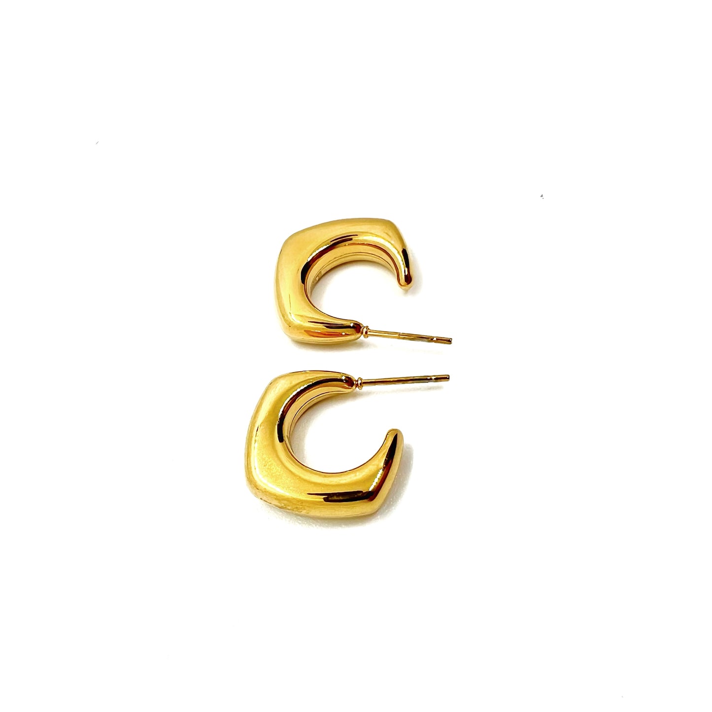 Dana earring