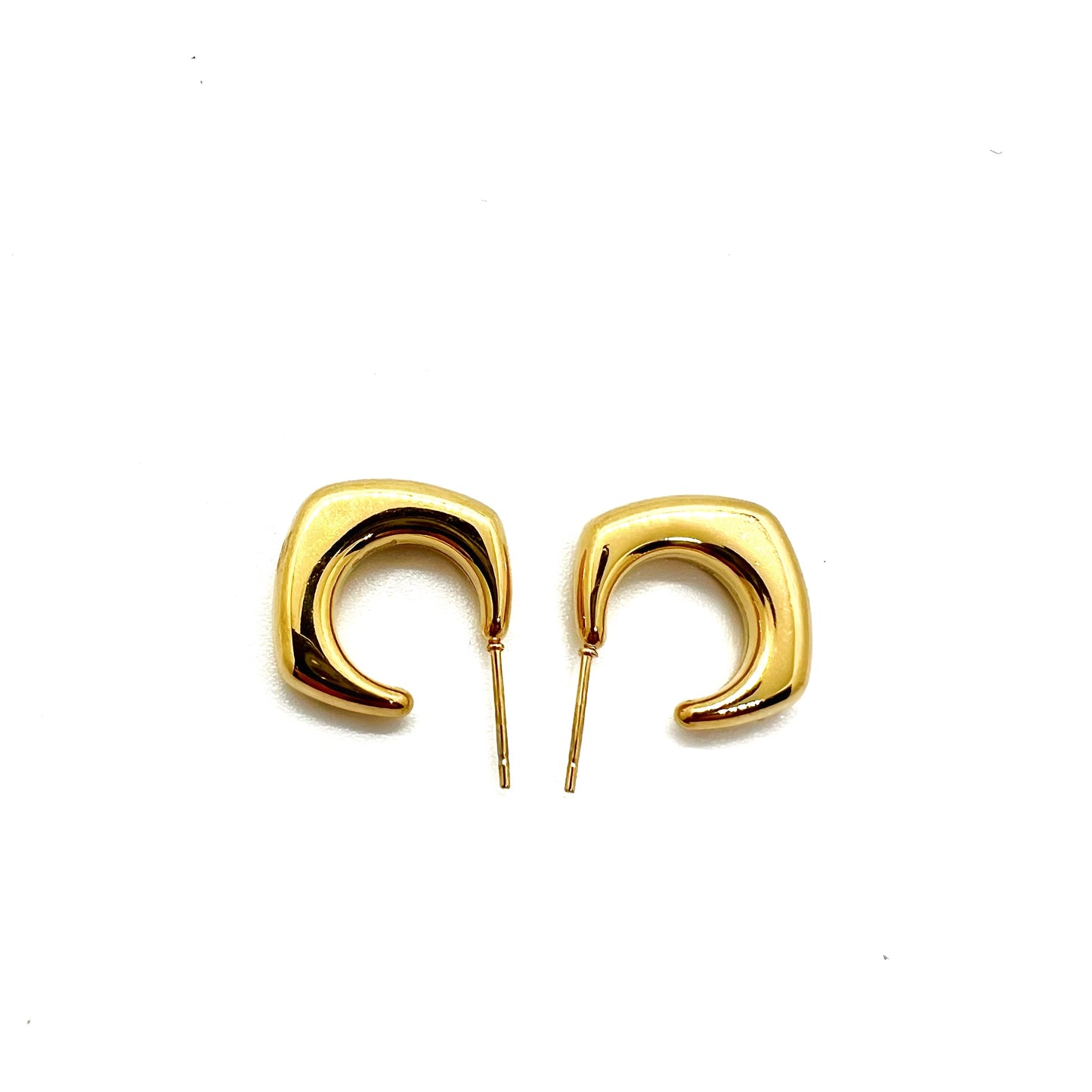 Dana earring
